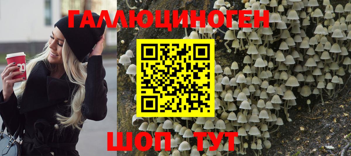 Галлюциногенные грибы GOLDEN TEACHER Ипатово